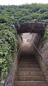 Haunted experiences stairs to the unknown